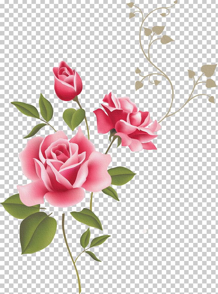 Vintage Roses: Beautiful Varieties For Home And Garden Pastel PNG, Clipart, Artificial Flower, Blossom, Branch, Cut Flowers, Dra Free PNG Download