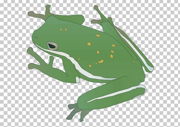 Amphibian Reptile Frog Insect PNG, Clipart, Animal, Animals, Cartoon Frog, Cicadas, Coiled Free PNG Download