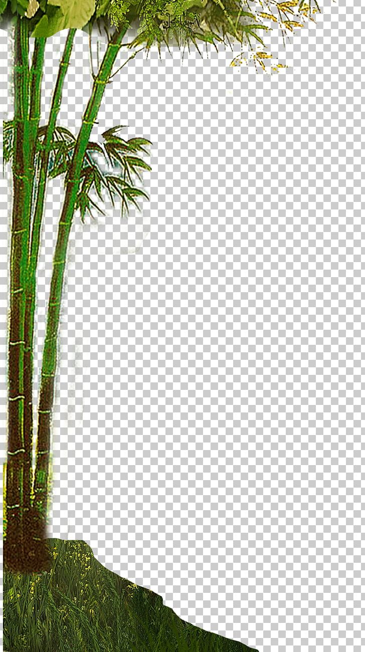 Bamboe Bamboo PNG, Clipart, Adobe Illustrator, Bamboe, Bamboo Border, Bamboo Frame, Bamboo Leaf Free PNG Download
