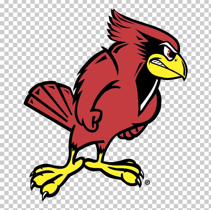 Illinois State University Illinois State Redbirds Football Illinois State Redbirds Men's Basketball Western Illinois University University Of Illinois At Urbana–Champaign PNG, Clipart, Coopers Hawk, Illinois State Redbirds Football, Illinois State University, Western Illinois University Free PNG Download