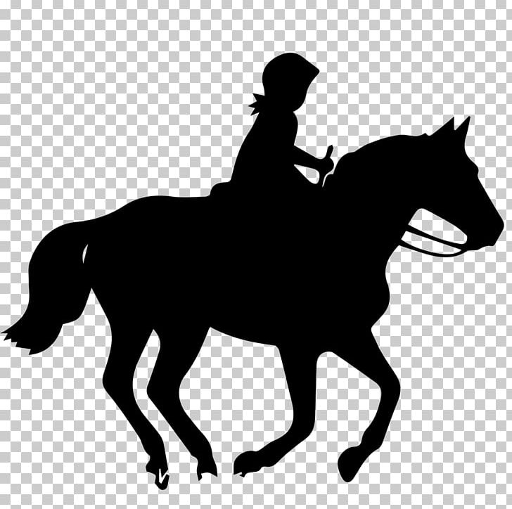 Sport Horse Equestrian Jockey PNG, Clipart, Animals, Black, Collection, Colt, Computer Icons Free PNG Download