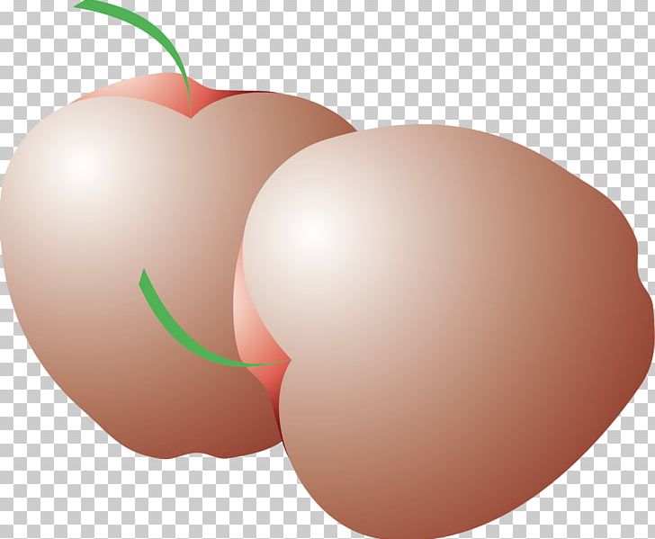 Apple Pear Fruit PNG, Clipart, Apple, Auglis, Computer Wallpaper, Download, Euclidean Vector Free PNG Download