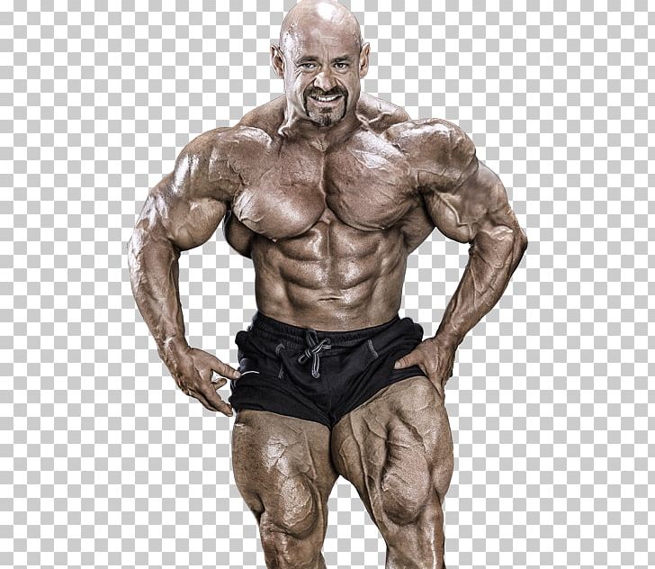 Branch Warren Bodybuilding Anabolic Steroid Human Body PNG, Clipart,  Free PNG Download