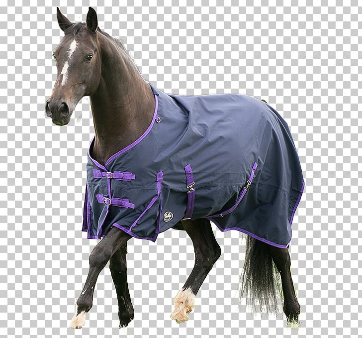 Gallop Horse Blanket Carpet Equestrian Shire Horse PNG, Clipart, Bridle, Carpet, Equestrian, Funky, Furniture Free PNG Download