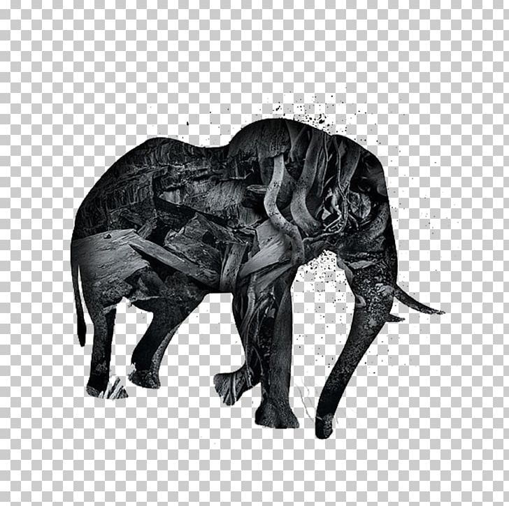 Horse Poster Animal Illustration PNG, Clipart, Animals, Baby Elephant, Black, Carnivoran, Cute Elephant Free PNG Download