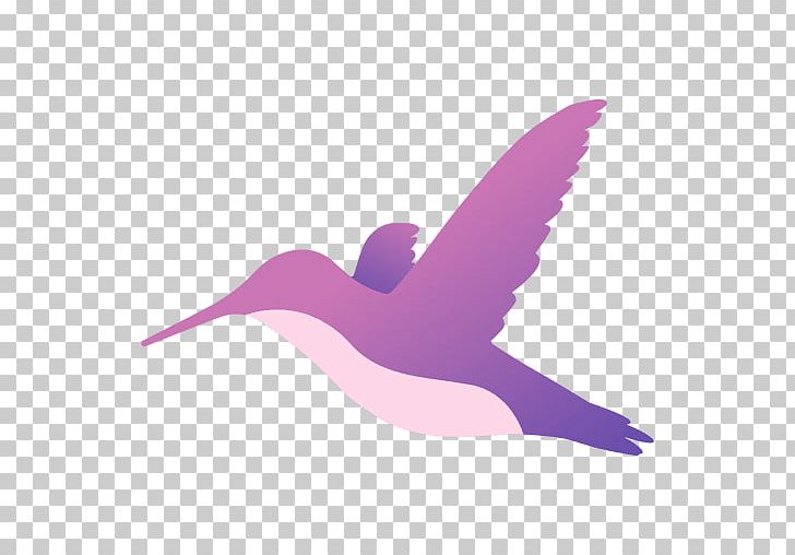 Hummingbird Beak PNG, Clipart, Animals, Beak, Bird, Feather, Handpainted Vector Free PNG Download