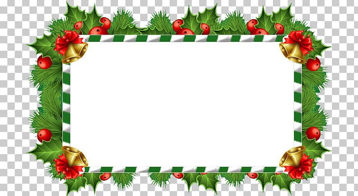 Christmas Tree Text Box PNG, Clipart, Aquifoliales, Box, Boxing, Cardboard Box, Christmas Free PNG Download