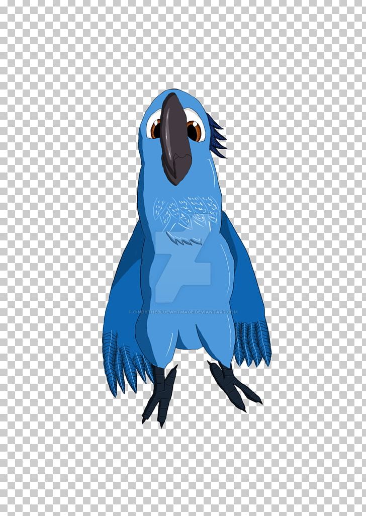 Jewel Blu Nigel Macaw Parrot PNG, Clipart, Beak, Bird, Blu, Blue, Cartoon Free PNG Download