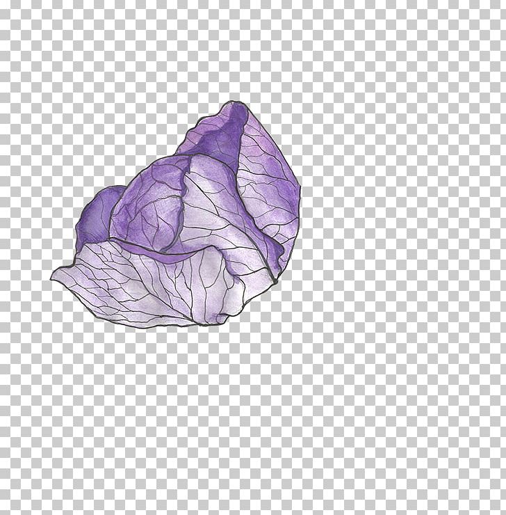 Red Cabbage Vegetable PNG, Clipart, Adobe Illustrator, Agriculture, Brassica Oleracea, Cabbage, Cabbage Cartoon Free PNG Download