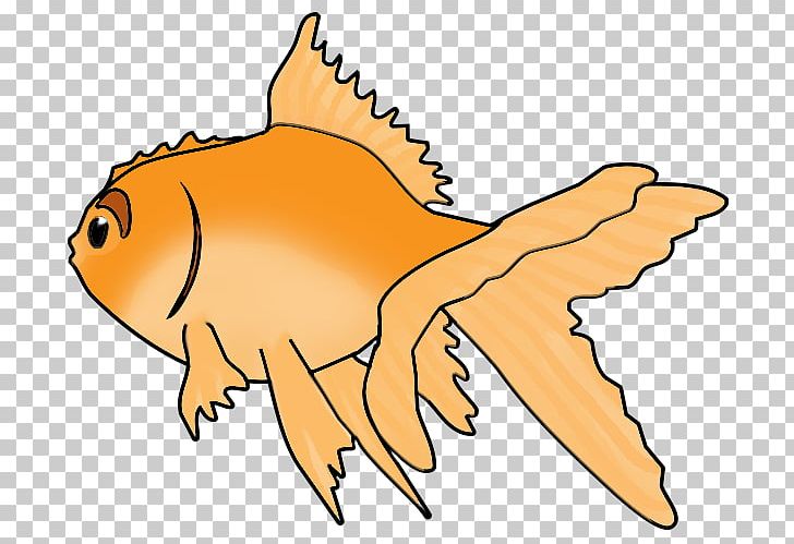 Ryukin Fish Drawing PNG, Clipart, Animal, Animal Figure, Animals, Artwork, Beak Free PNG Download