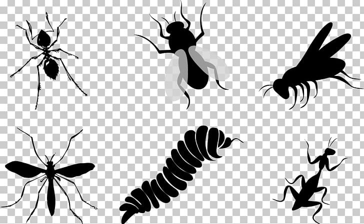 Insect Silhouette Butterfly PNG, Clipart, Animals, Ant, Arthropod, Black And White, City Silhouette Free PNG Download