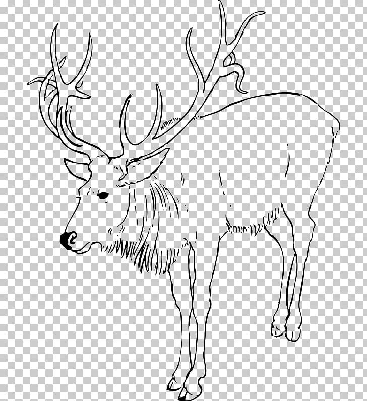 Reindeer Rudolph Drawing PNG, Clipart,  Free PNG Download