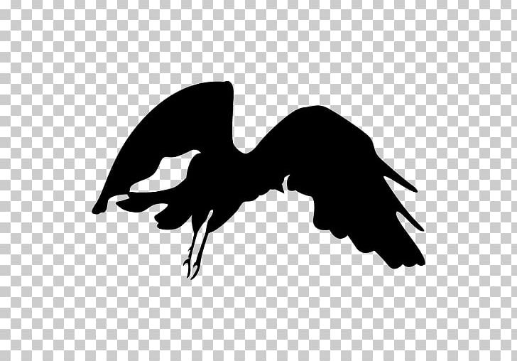 Bird Beak Flight PNG, Clipart, Animals, Beak, Bird, Bird Fly, Bird Of Prey Free PNG Download