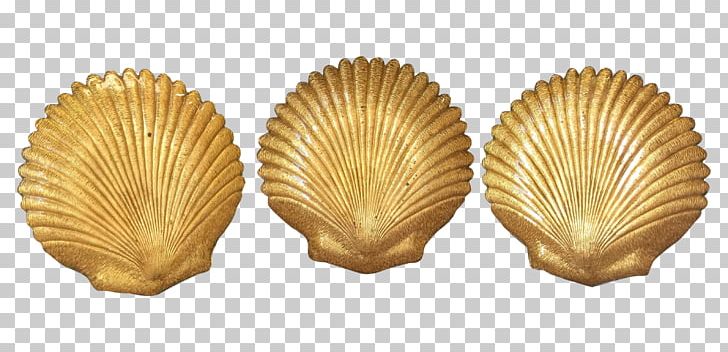 Clam Seashell Cockle Mussel Oyster PNG, Clipart, Animals, Bung, Clam, Clams Oysters Mussels And Scallops, Cocacola Company Free PNG Download
