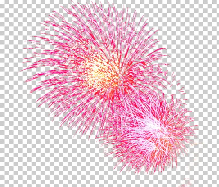 Fireworks PNG, Clipart, Adobe Fireworks, Adobe Illustrator, Christmas Decoration, Decoration, Decorative Free PNG Download