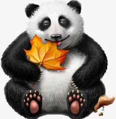 Panda PNG, Clipart, Animal, Animal Wildlife, Bear, Black, Black Color Free PNG Download