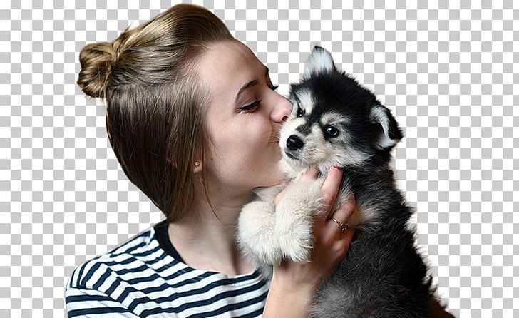 Dog Breed Puppy Companion Dog Skin PNG, Clipart, Breed, Carnivoran, Companion Dog, Dog, Dog Breed Free PNG Download