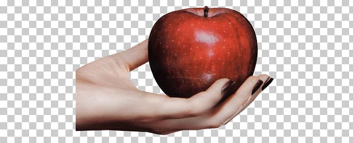 Paradise Apple Hand Woman Foot PNG, Clipart, Apple, Blog, Food, Foot, Fruit Free PNG Download