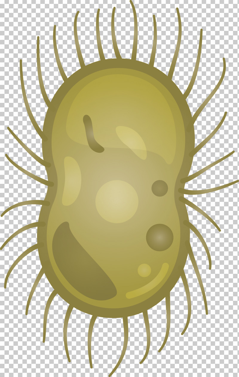 Virus PNG, Clipart, Circle, Virus Free PNG Download