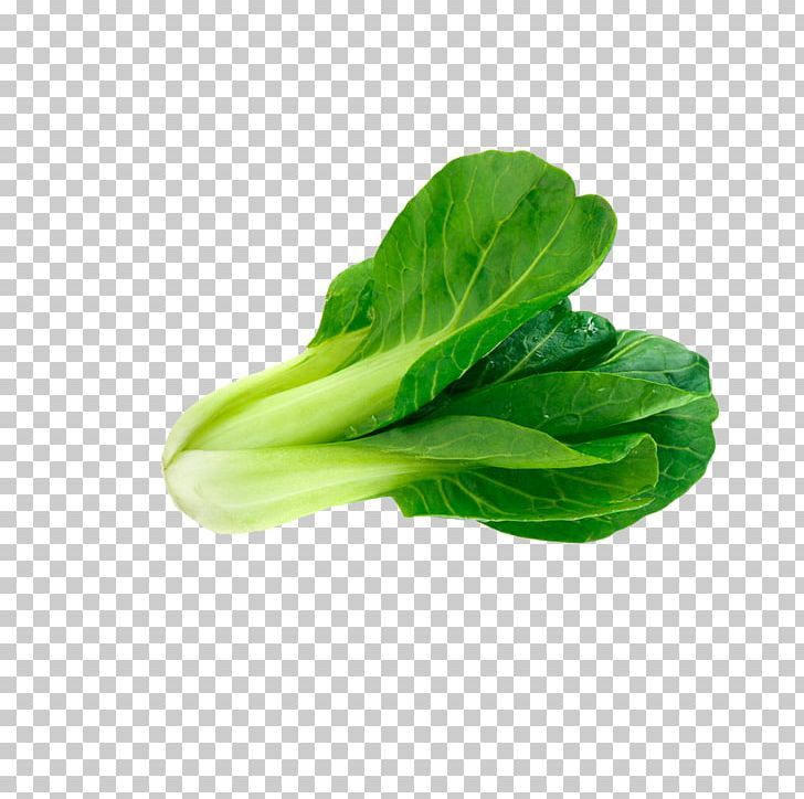 Choy Sum Pixel Icon PNG, Clipart, Background Green, Bok Choy, Chard, Collard Greens, Cruciferous Vegetables Free PNG Download