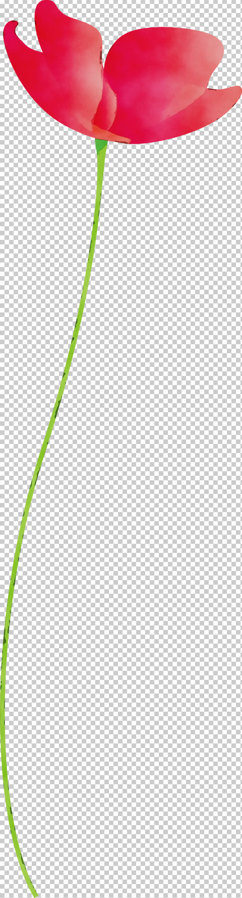 Green Line Leaf Plant Grass PNG, Clipart, Grass, Green, Leaf, Line, Paint Free PNG Download