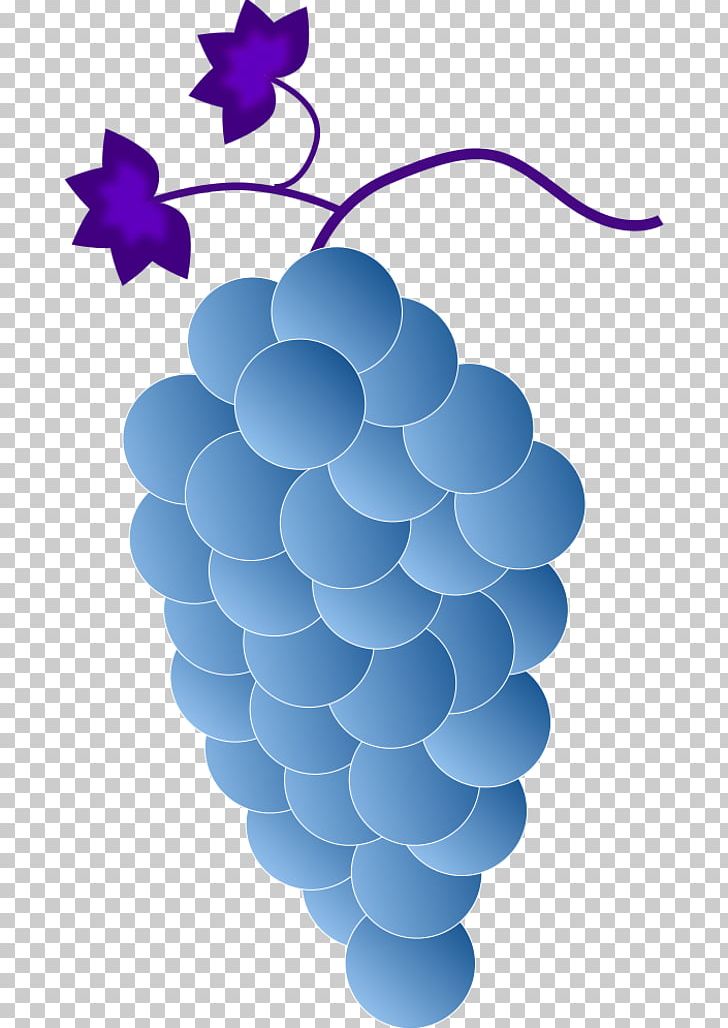 Common Grape Vine Wine PNG, Clipart, Blue, Color, Common Grape Vine, Computer Icons, Flowering Plant Free PNG Download