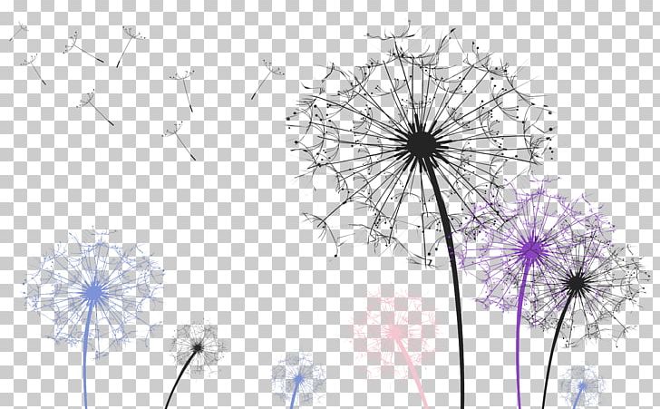 Dandelion PNG, Clipart, 3d Computer Graphics, Black And White, Blood Pressure, Color, Computer Wallpaper Free PNG Download