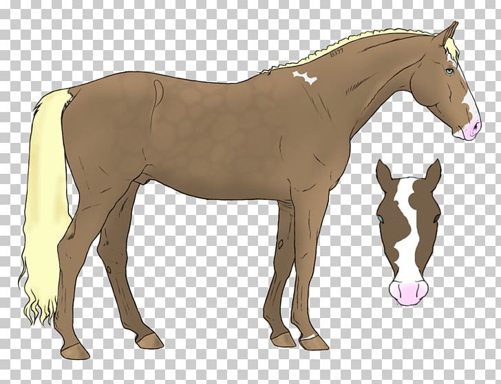 Foal Stallion Mane Mustang Colt PNG, Clipart, Colt, Dog Harness, Fauna, Foal, Halter Free PNG Download