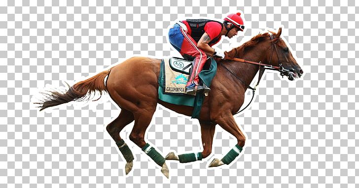 Horse Preakness Stakes Belmont Park The Kentucky Derby 2014 Belmont Stakes PNG, Clipart, 2014 Belmont Stakes, Animals, Animal Sports, Australian Racing Board, Belmont Stakes Free PNG Download