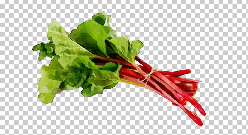 Salad PNG, Clipart, Chard, Garden Rhubarb, Paint, Salad, Spinach Free PNG Download