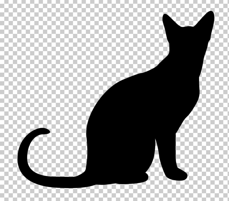 Cat Small To Medium-sized Cats Black-and-white Tail Silhouette PNG, Clipart, Blackandwhite, Cat, Silhouette, Small To Mediumsized Cats, Snout Free PNG Download