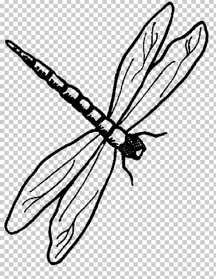 Dragonfly Drawing Animal PNG, Clipart, Animal, Art, Arthropod, Artwork, Brush Footed Butterfly Free PNG Download