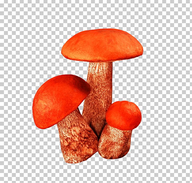 Fungus Raster Graphics Mushroom PNG, Clipart, Aspen Mushroom, Brown Cap Boletus, Cartoon Mushroom, Creative, Creative Mushrooms Free PNG Download