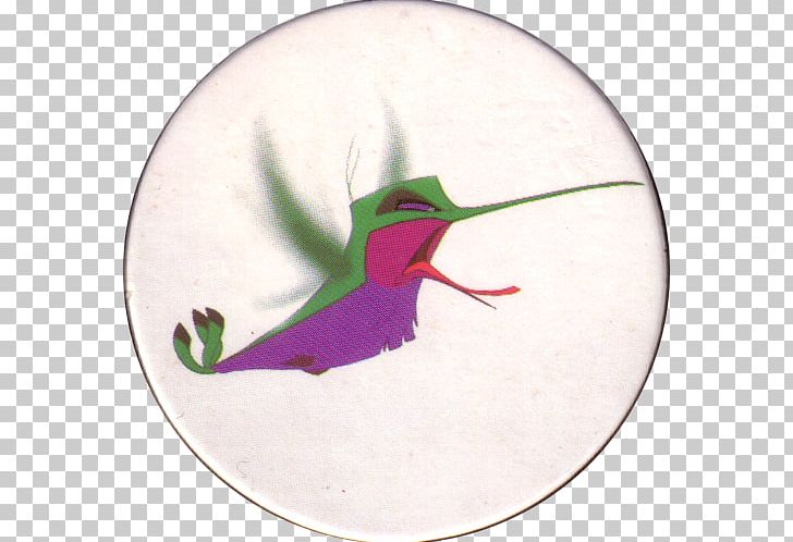 Green Fauna Hummingbird M Beak PNG, Clipart, Beak, Bird, Fauna, Green, Hummingbird Free PNG Download
