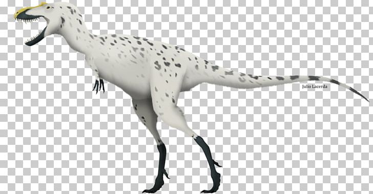 Tyrannosaurus Sinotyrannus Gorgosaurus Aviatyrannis Dryptosaurus PNG, Clipart, Animal, Animal Figure, Aviatyrannis, Beak, Coelurosauria Free PNG Download