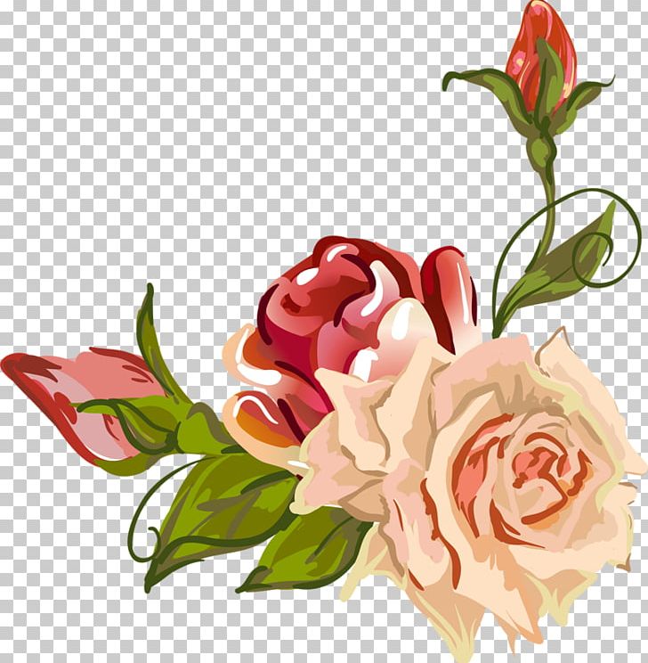 Garden Roses Centifolia Roses Flower Petal Drawing PNG, Clipart, Artificial Flower, Cecil Kennedy, Centifolia Roses, Cut Flowers, Dogrose Free PNG Download