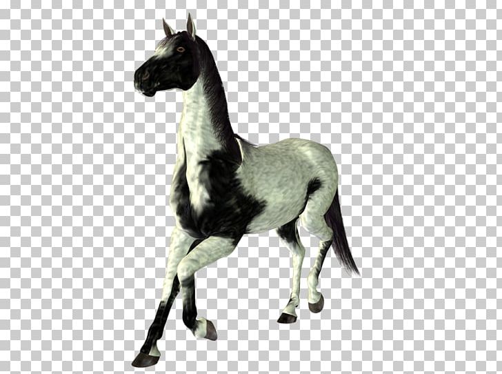 Mustang Foal Stallion Colt Mare PNG, Clipart, Animal, Animal Figure, Caballo, Cartoon, Colt Free PNG Download