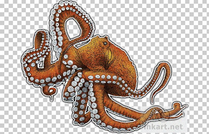 Giant Pacific Octopus The Love Letter Cephalopod Art PNG, Clipart, Animal, Art, Canvas, Canvas Print, Cephalopod Free PNG Download