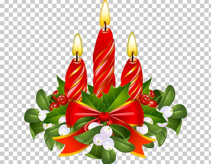 Mistletoe Christmas Phoradendron Tomentosum Holly PNG, Clipart, Christmas, Christmas Candle, Christmas Decoration, Christmas Ornament, Christmas Tree Free PNG Download