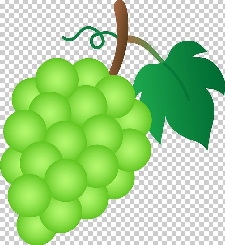 Common Grape Vine Sultana PNG, Clipart, Cartoon, Cartoon Grapes, Clip Art, Common Grape Vine, Flowering Plant Free PNG Download
