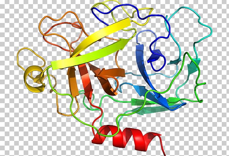 MST1 Structure Kringle Domain Gene Hepatocyte Growth Factor PNG, Clipart, Area, Artwork, Crystal Structure, Dna, Food Free PNG Download