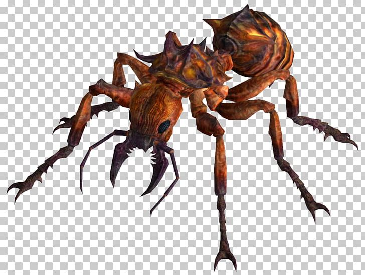 Fallout: New Vegas Fallout 3 Fallout 4 Wasteland Ant PNG, Clipart, Animals, Ant, Ants, Arthropod, Bee Free PNG Download