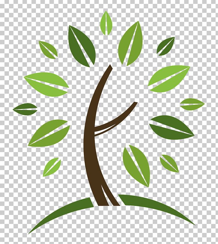 Landscaping Landscape Maintenance Lawn PNG, Clipart, Branch, Family, Flora, Flower, Front Yard Free PNG Download