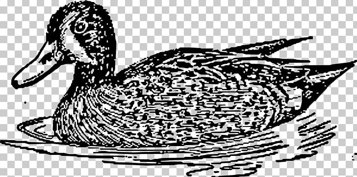 Swim Water Duck PNG, Clipart, American Pekin, Animal, Bird, Cartoon, Design Free PNG Download