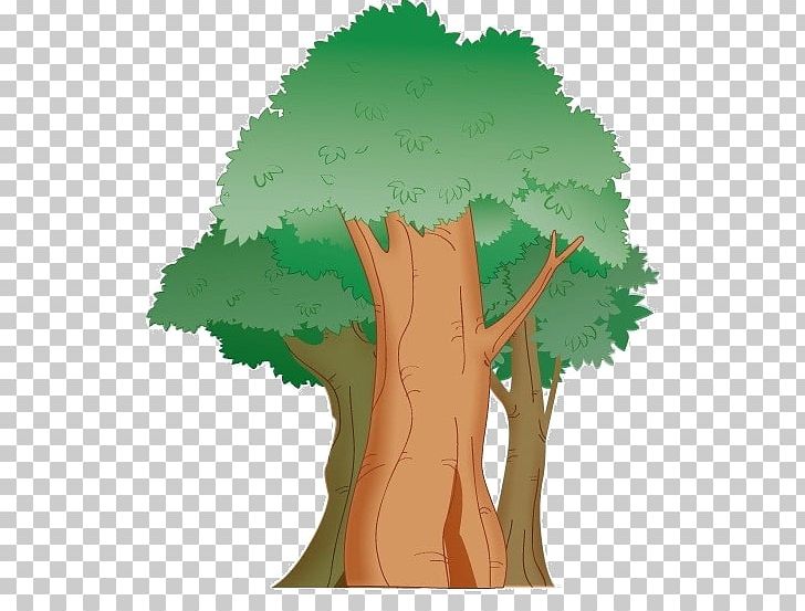 Tree Cartoon PNG, Clipart, Aloe Dichotoma, Animation, Cartoon, Drawing, Grass Free PNG Download