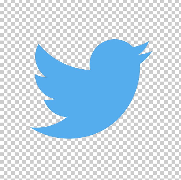 Twitter Logo PNG, Clipart, Icons Logos Emojis, Tech Companies Free PNG Download