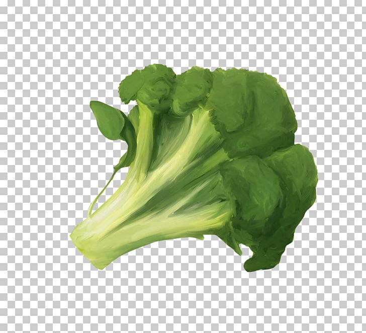 Vegetable Broccoli Fruit Cauliflower Food PNG, Clipart, Bean, Broccoli 0 0 3, Broccoli Art, Broccoli Dog, Broccoli Sprout Free PNG Download