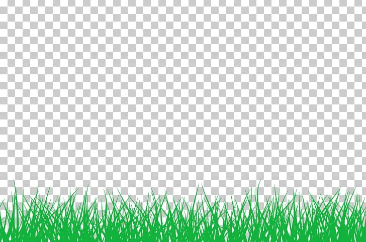 Bamboo Information Lawn PNG, Clipart, Bamboo, Computer Wallpaper, Desktop Wallpaper, Field, Grass Free PNG Download