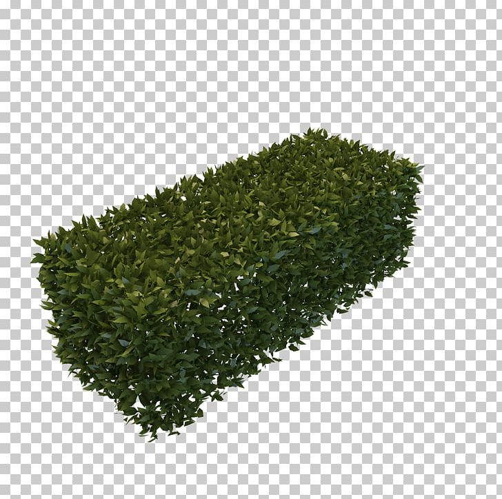 Final Fantasy XV Hedge Computer Icons Shrub PNG, Clipart, Background, Computer Icons, Download, Evergreen, Final Fantasy Free PNG Download