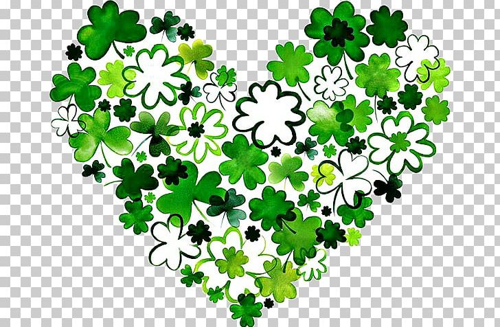 Saint Patrick's Day Shamrock Illustration Drawing PNG, Clipart,  Free PNG Download